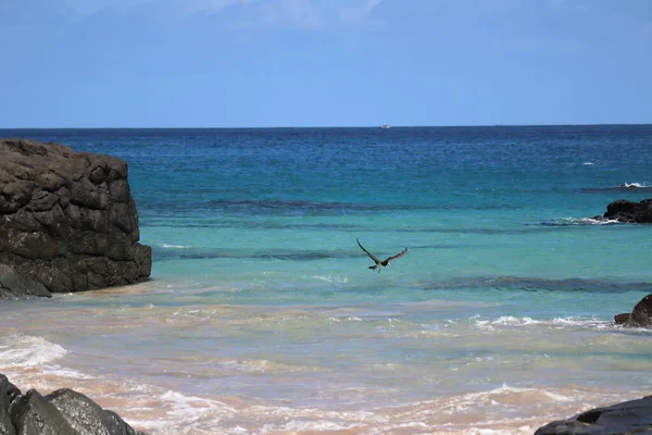 Views on the trail over rocks between Boldro beach and Conceicao beach. High quality photo
