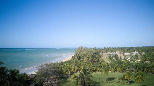 Drone Kilátás Sao Miguel Dos Milagres Strand Alagoas Brazília Fantasztikus — Stock Fotó