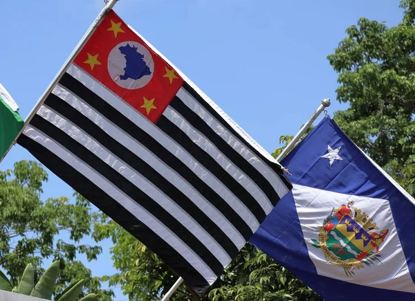 Bandeiras Estado São Paulo Cidade Taubate Soprando Vento Foto Alta — Fotografia de Stock