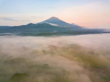 Sabahleyin sis ovaları kapladı böylece ağaçlar karardı. Uzaktaki Sumbing Dağı 'nın manzarasını gördün mü?