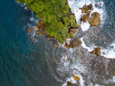 Sahilde ağaçların büyüdüğü ve dalgaların vurduğu Mercan Adası. Deniz suyu temiz ve mavi görünüyor.