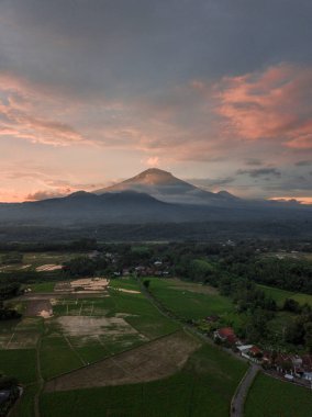 Sabah arka planda Dağ olan pirinç tarlası. Zümrüt Dağı, Merkez Java, Endonezya
