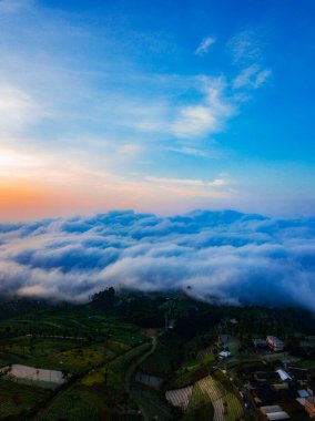 Dağ yamacında sebze fidanlığı ve sabahları bulutların manzarası.