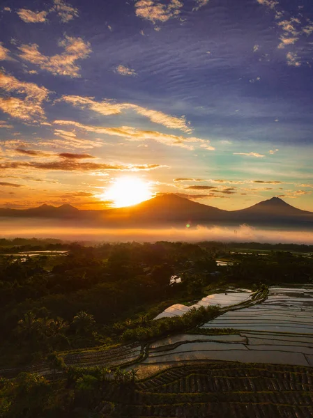 日出时以山地为背景的稻田农村景观 多云的天气 天空是橙色的 印度尼西亚爪哇中部 — 图库照片