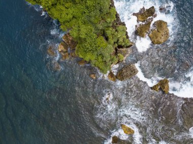 Sahilde ağaçların büyüdüğü ve dalgaların vurduğu Mercan Adası. Deniz suyu temiz ve mavi görünüyor.