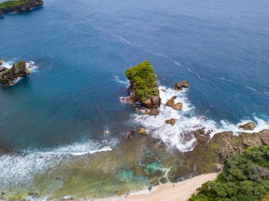 Sahilde ağaçların büyüdüğü ve dalgaların vurduğu Mercan Adası. Deniz suyu temiz ve mavi görünüyor.