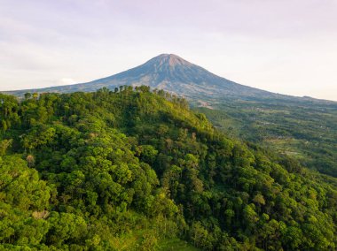 Sabahları tepede ağaçların yoğunluğuyla kaplı Sumbing Dağı 'nın drone fotoğrafı. Orta Java, Endonezya