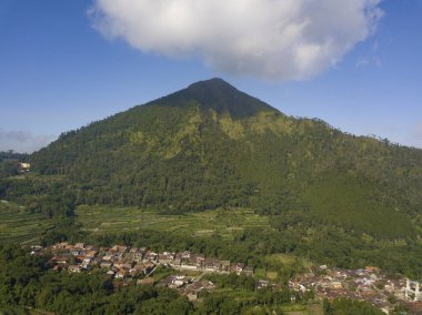 Üzerinde bulut olan ağaçların yoğun olduğu bir dağ. Andong Dağı, Orta Java, Endonezya