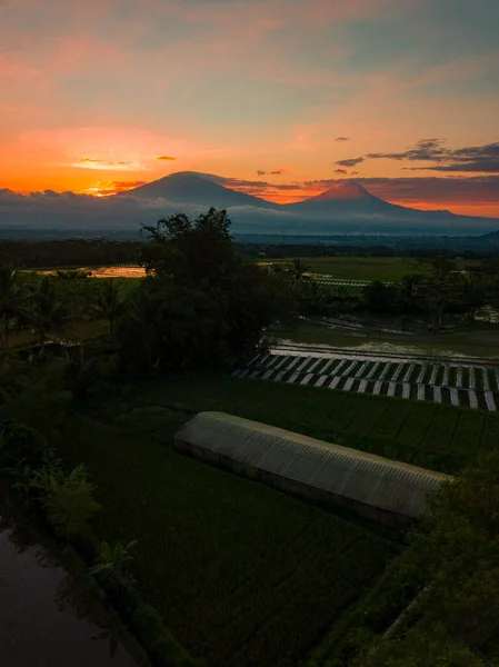 Drone Photo Sunrise Sky Mountains Rice Field Rural Landscape Indonesia — Foto de Stock