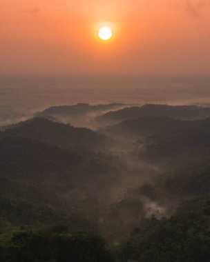Sabahları ağaçların yoğunluğuyla kaplı, sisli hava koşullarıyla kaplı bir tepe. Menoreh Tepesi, Orta Cava, Endonezya