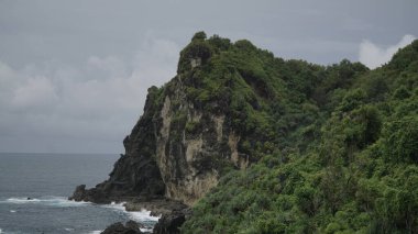 Sahilde ağaçlarla kaplanıp dalgaların vurduğu Mercan Adası. Jungwok Plajı, Yogyakarta, Endonezya