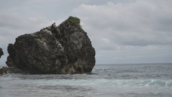 Кораловий Острів Який Виростав Деревах Пляжі Постраждав Від Хвилі Пляж — стокове фото