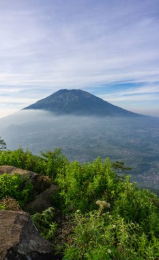 Çimenli, ağaçlı, ön planda ve bulutlu bir dağın zirvesine bakın. Merbabu Dağı adında bir dağ. Bu görüntü Endonezya 'nın merkezindeki Telomoyo Dağı' nın zirvesinden alındı.
