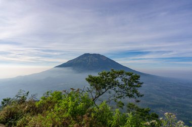 Çimenli, ağaçlı, ön planda ve bulutlu bir dağın zirvesine bakın. Merbabu Dağı adında bir dağ. Bu görüntü Endonezya 'nın merkezindeki Telomoyo Dağı' nın zirvesinden alındı.