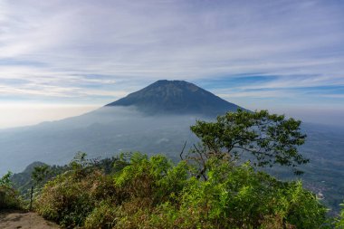 Çimenli, ağaçlı, ön planda ve bulutlu bir dağın zirvesine bakın. Merbabu Dağı adında bir dağ. Bu görüntü Endonezya 'nın merkezindeki Telomoyo Dağı' nın zirvesinden alındı.