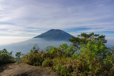 Çimenli, ağaçlı, ön planda ve bulutlu bir dağın zirvesine bakın. Merbabu Dağı adında bir dağ. Bu görüntü Endonezya 'nın merkezindeki Telomoyo Dağı' nın zirvesinden alındı.