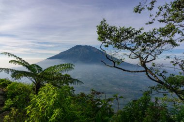 Çimenli, ağaçlı, ön planda ve bulutlu bir dağın zirvesine bakın. Merbabu Dağı adında bir dağ. Bu görüntü Endonezya 'nın merkezindeki Telomoyo Dağı' nın zirvesinden alındı.