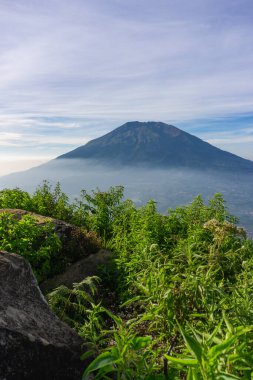 Çimenli, ağaçlı, ön planda ve bulutlu bir dağın zirvesine bakın. Merbabu Dağı adında bir dağ. Bu görüntü Endonezya 'nın merkezindeki Telomoyo Dağı' nın zirvesinden alındı.