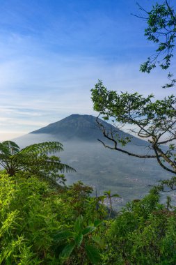 Çimenli, ağaçlı, ön planda ve bulutlu bir dağın zirvesine bakın. Merbabu Dağı adında bir dağ. Bu görüntü Endonezya 'nın merkezindeki Telomoyo Dağı' nın zirvesinden alındı.
