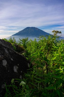 Çimenli, ağaçlı, ön planda ve bulutlu bir dağın zirvesine bakın. Merbabu Dağı adında bir dağ. Bu görüntü Endonezya 'nın merkezindeki Telomoyo Dağı' nın zirvesinden alındı.
