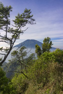 Çimenli, ağaçlı, ön planda ve bulutlu bir dağın zirvesine bakın. Merbabu Dağı adında bir dağ. Bu görüntü Endonezya 'nın merkezindeki Telomoyo Dağı' nın zirvesinden alındı.