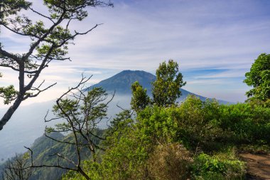 Çimenli, ağaçlı, ön planda ve bulutlu bir dağın zirvesine bakın. Merbabu Dağı adında bir dağ. Bu görüntü Endonezya 'nın merkezindeki Telomoyo Dağı' nın zirvesinden alındı.
