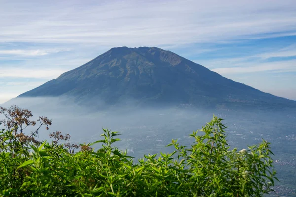 Çimenli, ağaçlı, ön planda ve bulutlu bir dağın zirvesine bakın. Merbabu Dağı adında bir dağ. Bu görüntü Endonezya 'nın merkezindeki Telomoyo Dağı' nın zirvesinden alındı.