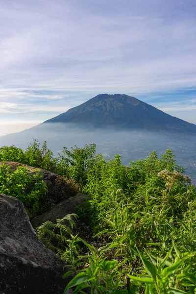 Çimenli, ağaçlı, ön planda ve bulutlu bir dağın zirvesine bakın. Merbabu Dağı adında bir dağ. Bu görüntü Endonezya 'nın merkezindeki Telomoyo Dağı' nın zirvesinden alındı.