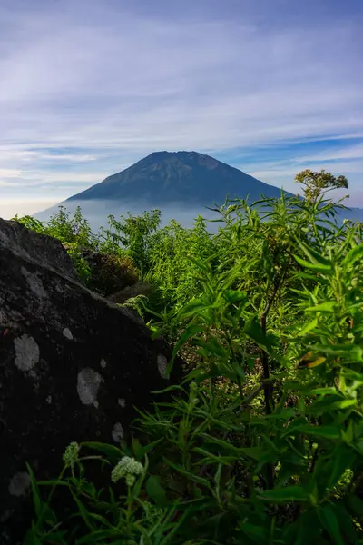 Çimenli, ağaçlı, ön planda ve bulutlu bir dağın zirvesine bakın. Merbabu Dağı adında bir dağ. Bu görüntü Endonezya 'nın merkezindeki Telomoyo Dağı' nın zirvesinden alındı.