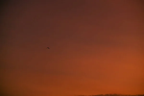 Golden Sunrise Cloudy Wetaher — Foto de Stock