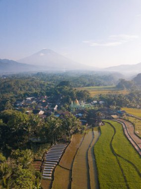 Aerial photo of Mosque with golden dome in the middle of rice field and mountain on the background. Kajoran rice field, Central Java, Indonesia