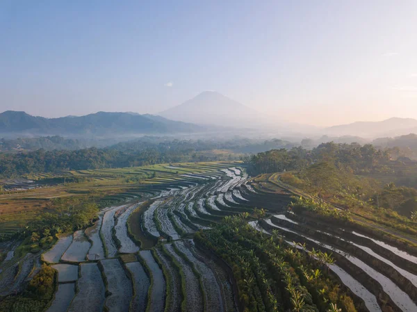 Aerial photo of Beautiful terraced rice fields in the Kajoran Village with Mountain on the background in the morning