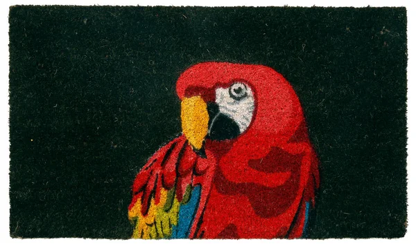 现代黑红鹦鹉鸟印制的黄盖门垫 — 图库照片