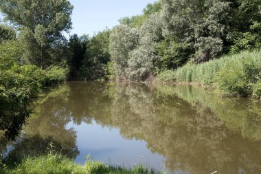 Nehrin kıyısındaki gölet