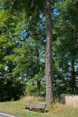 Yeşilde dinlenme yeri