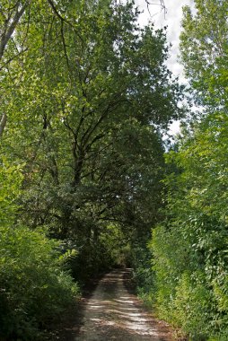 Le Bine vahasının kirlenmemiş doğasına bir göz atalım.