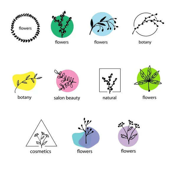 Sette Blomster Botanikk Logoen Til Naturlig Kosmetikk – stockvektor