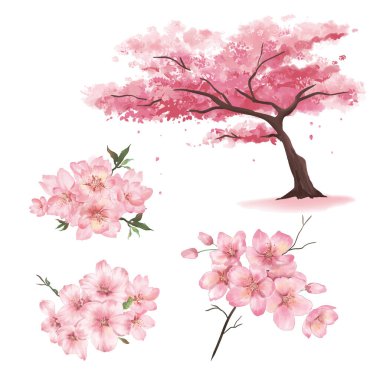 Suluboya pembe çiçek buketi koleksiyonu