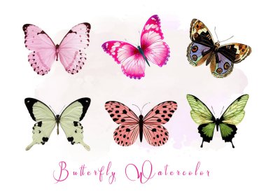 Çiçek & kelebek illüstrasyon vektörü ayarlandı