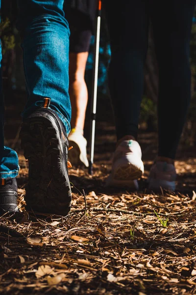 group of people walking through the forest with trekking sticks