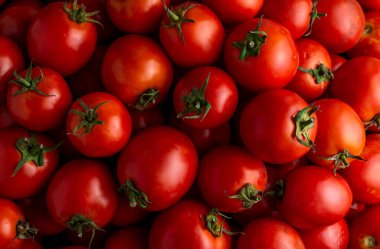 Taze sebzeler büyük miktarlarda kırmızı domatesler.