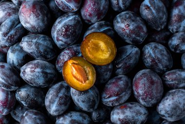 Bir sürü böğürtlen.