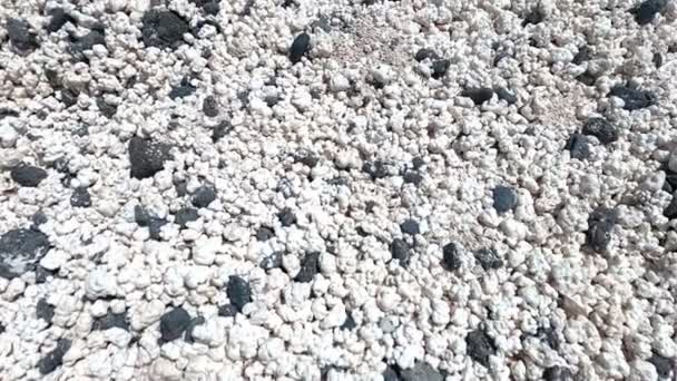 Stranden Corralejo Fuerteventura Med Oändlig Vidd Popcorn Magnifika Exemplar Koraller — Stockvideo
