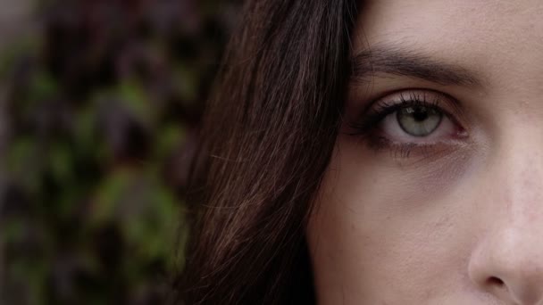 Половина Обличчя Красивої Молодої Жінки Відкриває Очі Крупним Планом Портрет — стокове відео