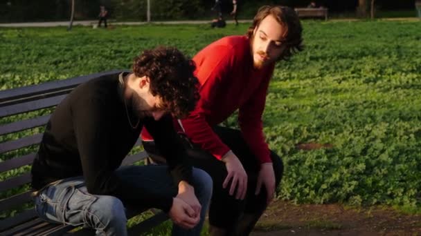 Junger Mann Der Von Seiner Freundin Weinend Auf Einer Parkbank — Stockvideo