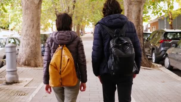 Sırt Çantalarıyla Ağaçlarla Kaplı Bir Caddede Yürüyen Iki Genç Üzerinde — Stok video