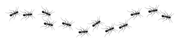 Colonie de sentier de fourmi sur fond blanc — Image vectorielle