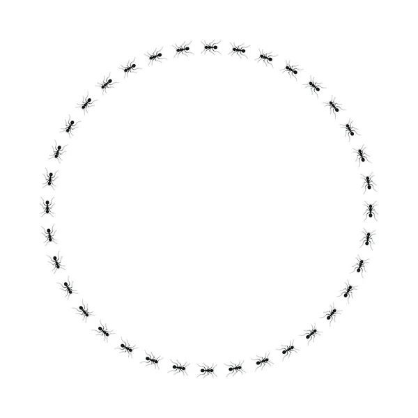 Marco de círculo de hormigas. Camino hormigas en círculo — Archivo Imágenes Vectoriales