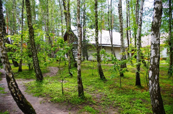 Гостевой Дом Лесу — стоковое фото