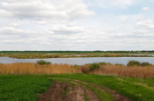 Een Kleine Rivier Een Groen Veld — Stockfoto